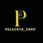 @pelageya_taro8668