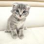@buddy_054rus