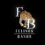 @FelinosBandS