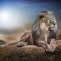 @Drmansoor6