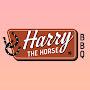 @harrythehorsebbq