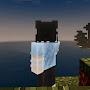 @Felix_silverr