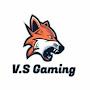 @v.sgaming6280