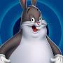 @Chungus-W