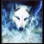 @wolfrain0213