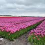 @michel_0323