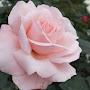@its_me_rani0306