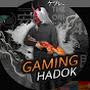 @GemingHadok