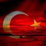 @yavuzbnk