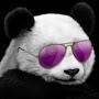 @CloudPanda999