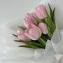 @Aliya_5690