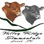 @valleyridgesimmentals8969