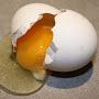 @NotHotEgg