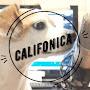 @califonica