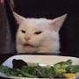 @toast_cat2265