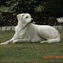 @LeylaYalkinoglu