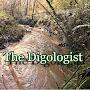 @DIGOLOGIST