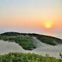 @alizeeshan7447