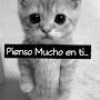 @francoriveroscones3568