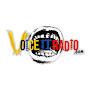 @voiceitradio1804