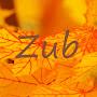 @Zubershtyker