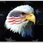 @AmericanPatriotsMissouri