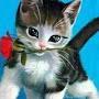 @lejlaperisteri7533