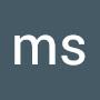 @msfe313