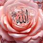 @Asif_Khan09