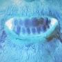@thetoothpastevampires865