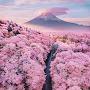 @vancloudy1334