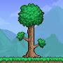 @terraria4224