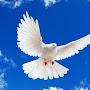 @muhammedkeskin1968