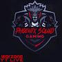 @phoenixsquad8946