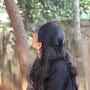 @DivyaDivya-rh8cq