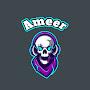 @ameerlabnan