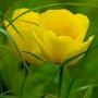 @1759gaurang