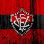 @JoaoSilva-tm1ws
