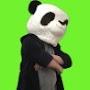 @realkiwipanda