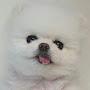 @熊貓不爬樹