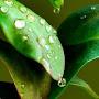 @hananalfailakawi3670