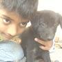 @gouthamshanker5095