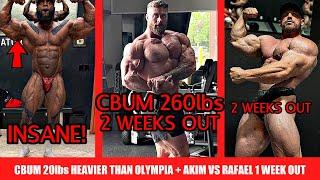 CBum Weighs 260lbs 2 Weeks Out From Prague + Akim looks Insane + Rafael 1 Week Out + Martin Updates