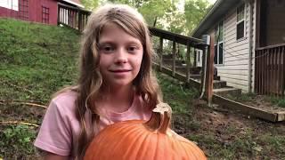 Submit Your Pumpkin Videos by Oct 15th!  (Whistle Thicket Pumpkin Challenge)