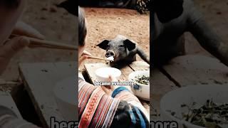 Smart Piggy's Survival Scheme: Too Clever to Eat!​​  #animals #pets #pig #shorts #life