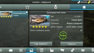 Большеротый окунь▶My fishing world▶ мой рыболовный мир▶где и на что ловится!!!