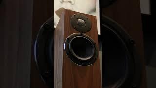 PMC twenty5i & twenty5 active upgrade #speakers