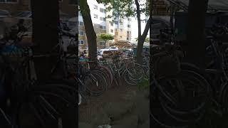 Bike parking in an apartment yard in Korea