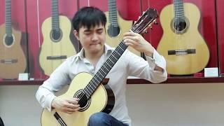 Love Story - Francis Lai "Guitar Cover" (Steven Law)