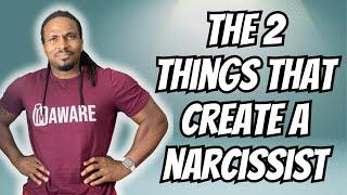 The 2 THINGS that cause NARCISSISM! (Plus 1 Bonus)